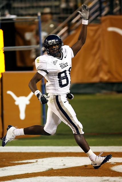 草蜢在这一 草蜢在这一